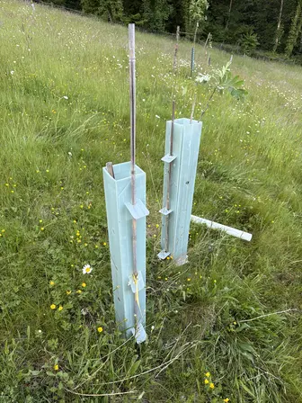 Foto treephoto-csc6krswekyuyg83gxbmebiq.jpeg