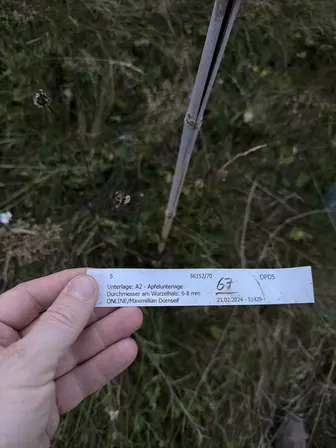Foto treephoto-sclxnt1pmmixwlkvj6vd0g9k.jpeg