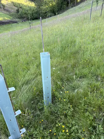 Foto treephoto-w4kiwk6z25peaca5c0oocaxs.jpeg