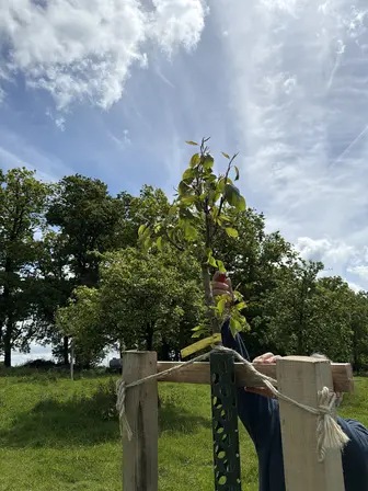 Foto treephoto-dvwlomloxy5dqc9a2thrphvm.jpeg