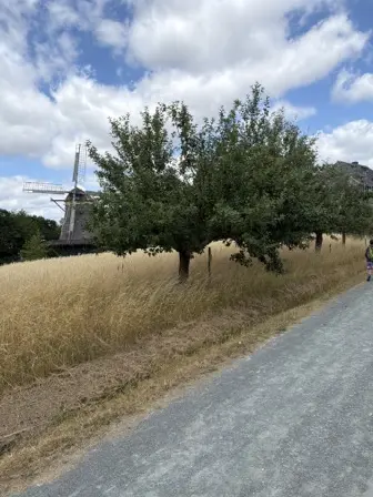 Foto treephoto-d3nufiosesbe1yqn0w6cr1uw.jpeg