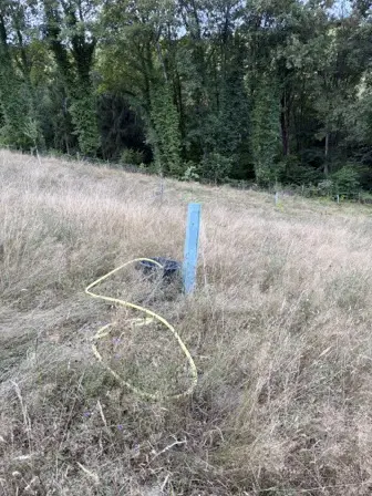 Foto treephoto-zu1yt4b457yigjlevkcergbd.jpeg