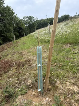 Foto treephoto-f5ozjukbhcbkvq6bpvwono0w.jpeg