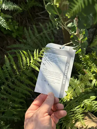Foto treephoto-ju4ccjqgd50bto6wef8fdzk5.jpeg