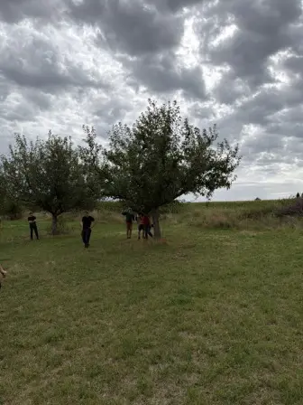 Foto treephoto-ivf9mxjp0px5cu96osw3njtt.jpeg