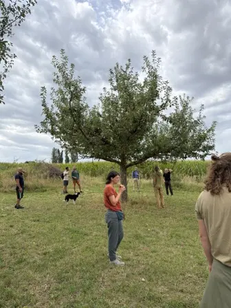 Foto treephoto-r4cp2je94wb82kusiyvltra6.jpeg