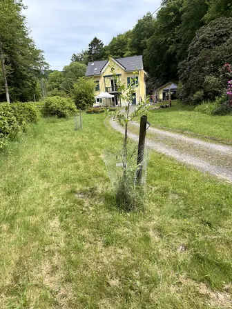 Foto treephoto-shraslvs8ypzinpzhveeqgod.jpeg