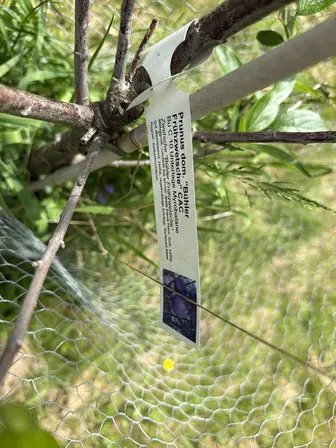 Foto treephoto-xcrwops92ci458q286torlpl.jpeg