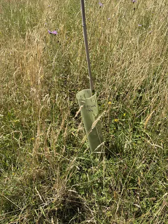 Foto treephoto-bqv6fy4be0o4tec3aaeyqxt1.jpeg