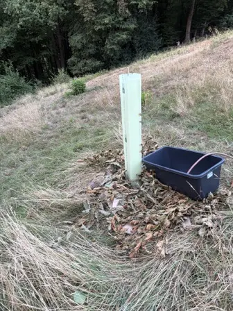Foto treephoto-votgqqgih1cvxmbmx7sr1vdj.jpeg