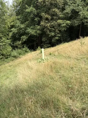 Foto treephoto-xihrdxbf153qw93aby0d66j5.jpeg