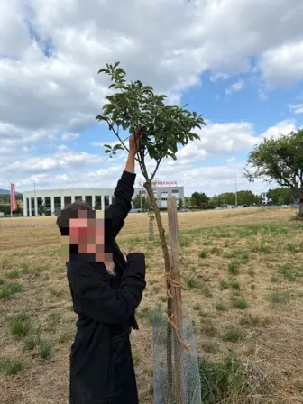 Foto treephoto-ymfzfeuwx5lsuch5i1fz4bjm.jpeg