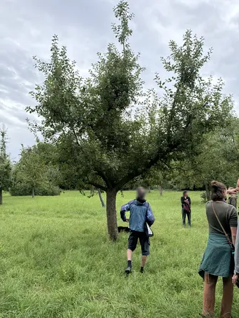Foto treephoto-oz9ik23xi6z8j3qsljhji20x.jpeg