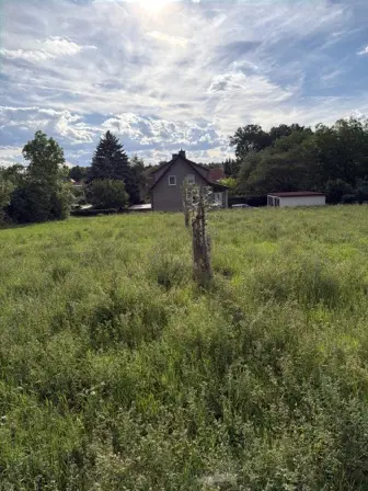 Foto treephoto-t8wci9lh6rgsqbno9o2ywpgs.jpeg