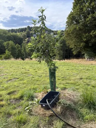 Foto treephoto-c7gd5dt8krkpb3fvslr69dig.jpeg