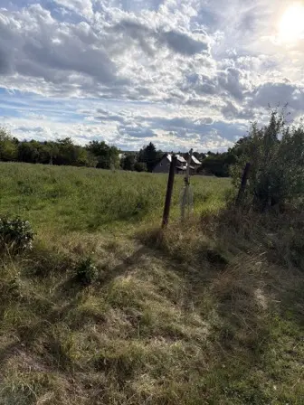 Foto treephoto-r878jm4f27xhrcf5ys1gfoz3.jpeg