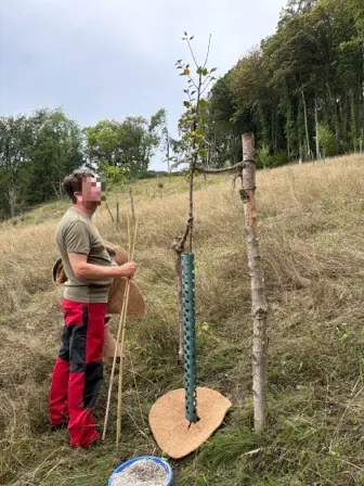 Foto treephoto-zu7yfbmh2ctwuqt4xjulgpxr.jpeg