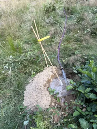 Foto treephoto-a3xq6620404hyo570qcc6991.jpeg