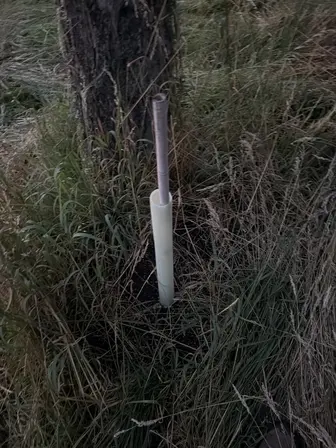 Foto treephoto-xvd76oedytapglfh29v7iobr.jpeg