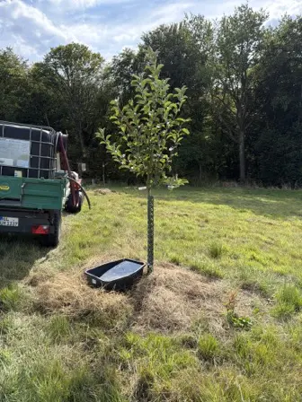 Foto treephoto-u8d1oyyat3csbd283a9ax4un.jpeg