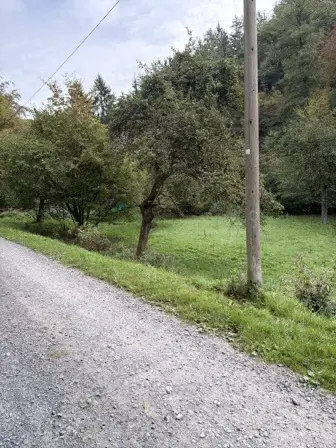 Foto treephoto-ko9z7dulmy3xu1q82tnrc06w.jpeg