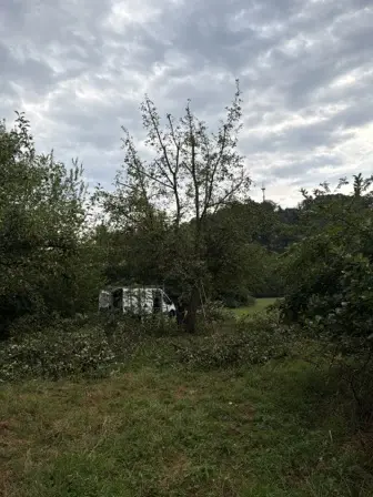 Foto treephoto-enble23z7146m0qcs9gs4l2f.jpeg
