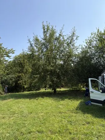 Foto treephoto-oym2b6nku531uzt0ygkj3crq.jpeg