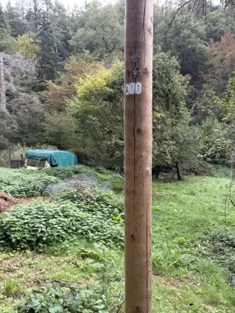 Foto treephoto-fetys8ilncj5aj33y25qtc0h.jpeg
