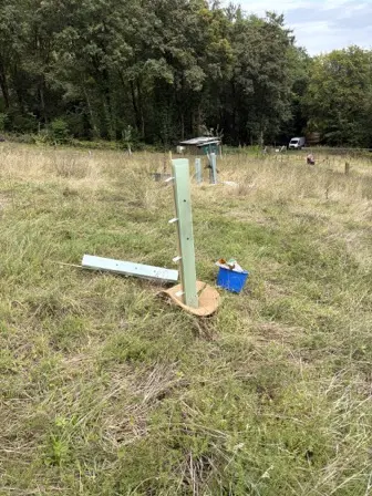 Foto treephoto-wvrr0gnmvymbu9623f9pwmao.jpeg