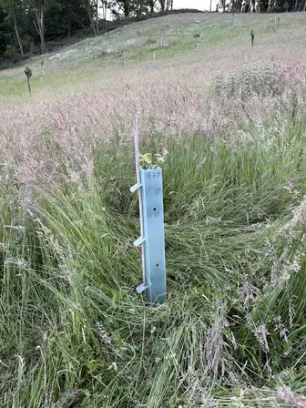 Foto treephoto-zizwacouyyr8tg7xwaqxa6gt.jpeg