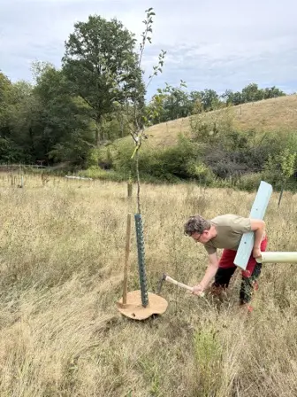 Foto treephoto-urp229hpwoxagtayxzxatzq3.jpeg