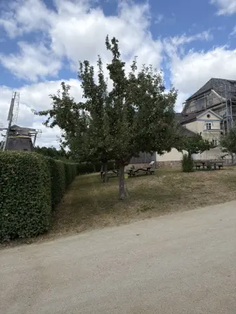 Foto treephoto-yx9uqg82i4ew5koou09p3atg.jpeg