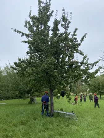 Foto treephoto-gd7n6tvqw5j4xv4fc18nyg1e.jpeg