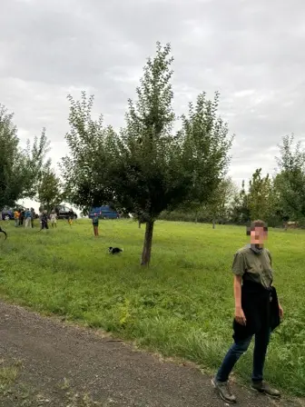 Foto treephoto-iqf4siciyjtaaz0lng640ex7.jpeg