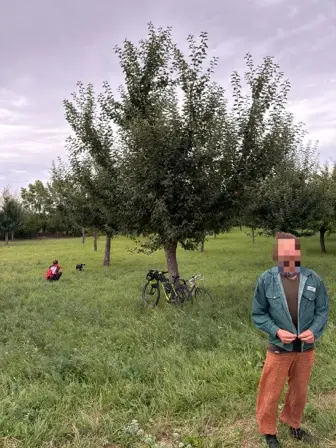 Foto treephoto-sigcqiq6cdwuvn8lycroeio5.jpeg