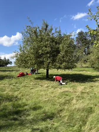 Foto treephoto-a6nrll5l36c37d8cbb8t4opx.jpeg