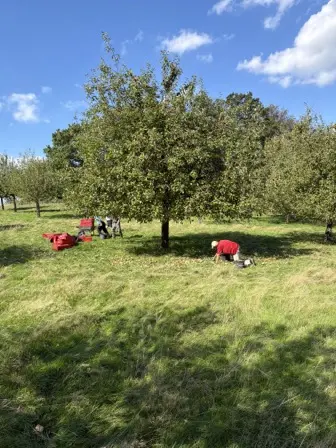 Foto treephoto-b0k9g4053918ivmu5n2cp9vw.jpeg