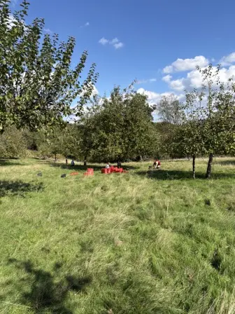 Foto treephoto-hmir60gtbp5md9ug7vdyszmc.jpeg