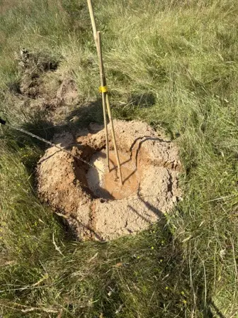 Foto treephoto-dlhtvkryjauk2ly22f5ivp4y.jpeg