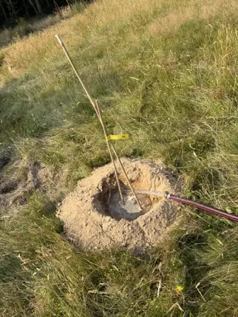 Foto treephoto-rfax47ky5b45xhblzci6v8la.jpeg