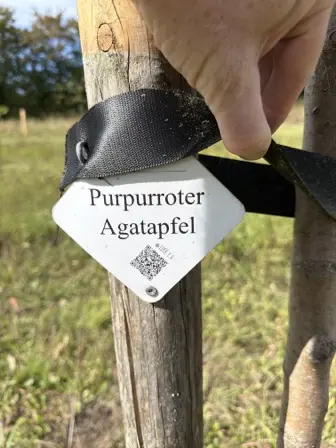 Foto treephoto-e5hvtbbgpb2f3ymcpjaxmf3r.jpeg