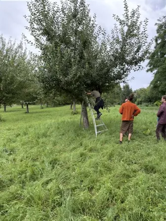 Foto treephoto-e8mimyj9ihw70pvxceakqnti.jpeg