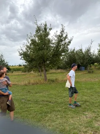 Foto treephoto-hx0d94gdx0msdnrv07gpk4h6.jpeg