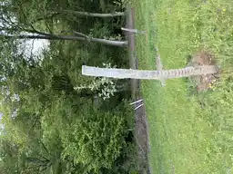 Foto treephoto-hlzfxcqltmu8b2kvfjiuflye.jpeg