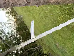 Foto treephoto-hpq9tzxgke3hokdq3bxxtt5j.jpeg