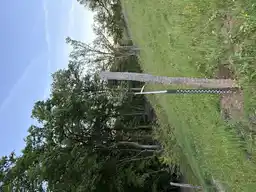 Foto treephoto-mo6ptkfoih4y2jmd6sksnyu5.jpeg