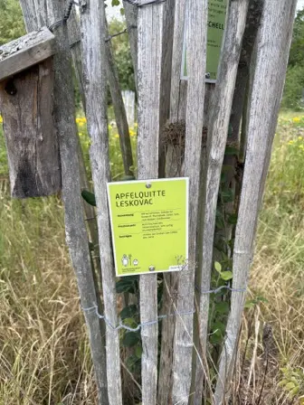 Foto treephoto-r8432slrrtqk946ueuvukw4d.jpeg