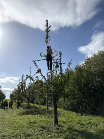 Foto treephoto-at7qtworc4swaj9ezevajvtj.jpeg