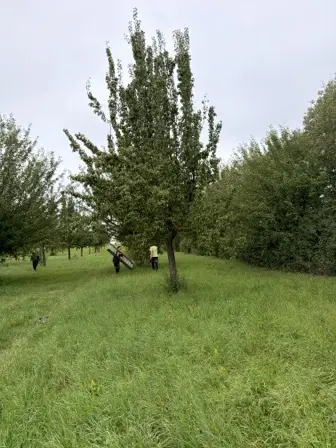 Foto treephoto-jku4sdnsgy0e172dqkrytkn1.jpeg