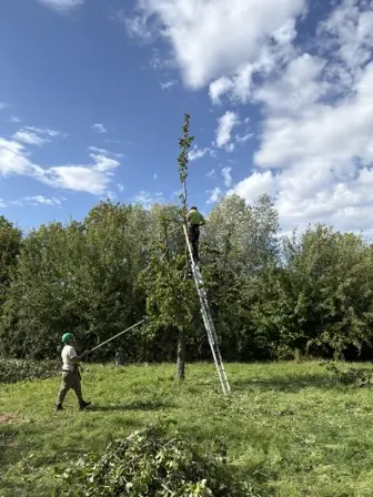 Foto treephoto-n0h56rp4qtj4p6bu7jcn587o.jpeg